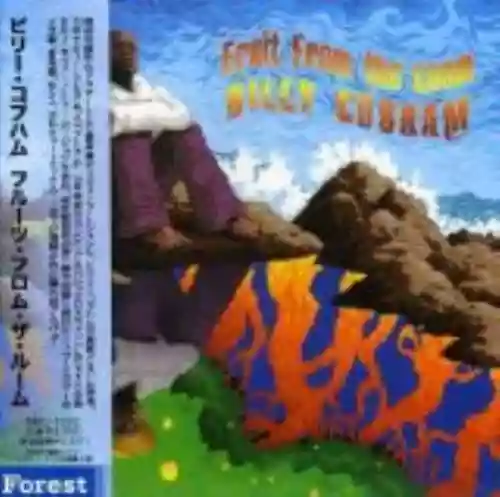 Cover Billy Cobham - Fruit From The Loom