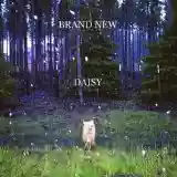 Brand New: Daisy