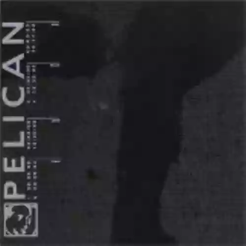 Cover Pelican - Pelican
