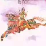 Budgie: Budgie