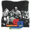 Gilberto Gil: Acoustic
