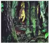 David Sylvian: Manafon