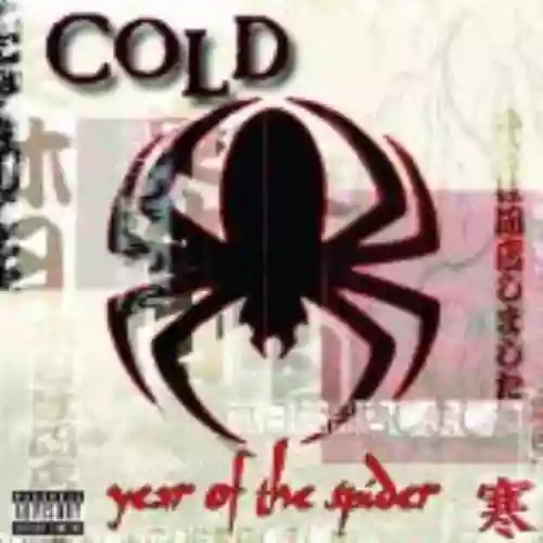 Cover di Year of the Spider