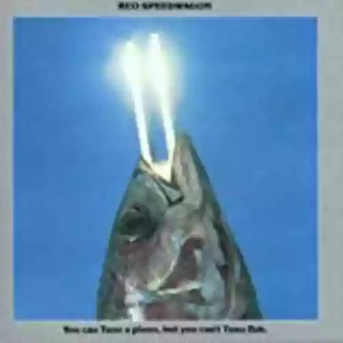 Cover REO Speedwagon - You Can Tune a Piano, But You Can't Tuna Fish