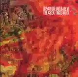 Between The Buried And Me: The Great Misdirect