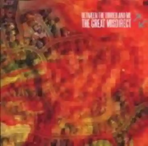 Cover di The Great Misdirect