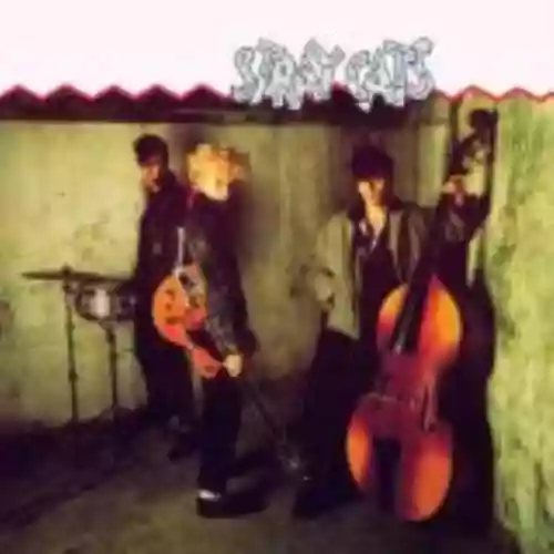 Cover di Stray Cats