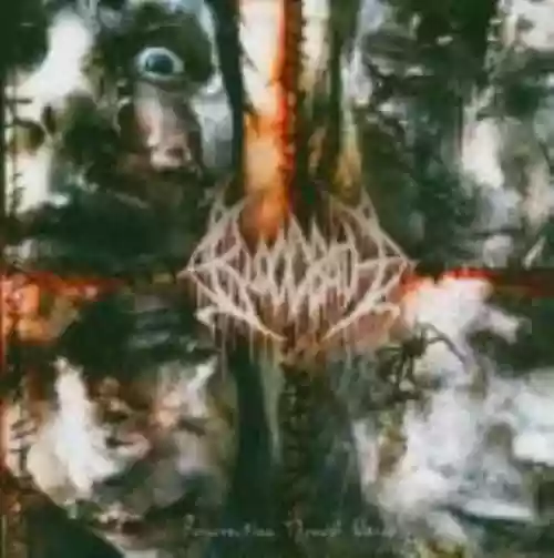 Cover di Resurrection Through Carnage