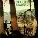 Cluster: Sowiesoso