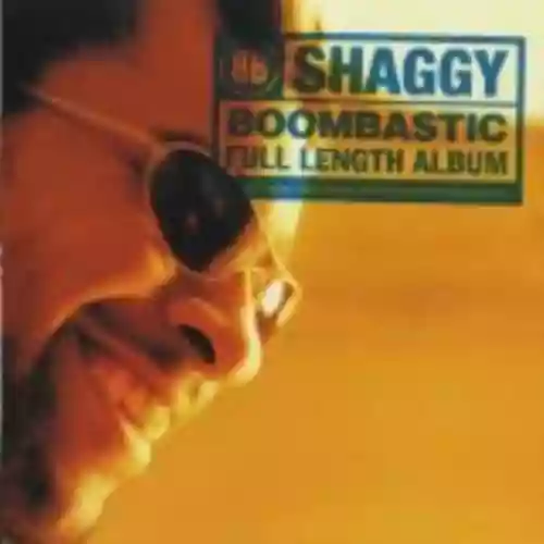Cover Shaggy - Boombastic