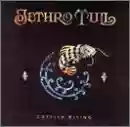 Jethro Tull: Catfish rising