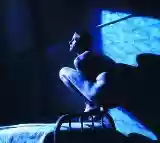 Peter Gabriel: Birdy