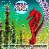 Ozric Tentacles: Erpsongs