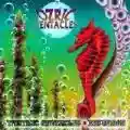 <b>Ozric Tentacles</b> • Erpsongs