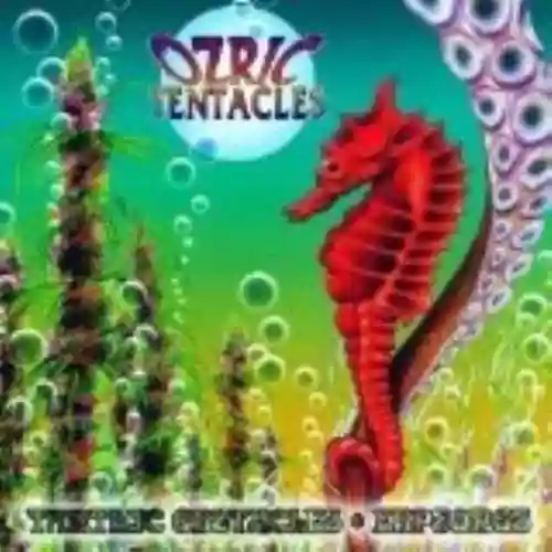 Cover di Erpsongs