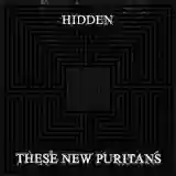 These New Puritans: Hidden