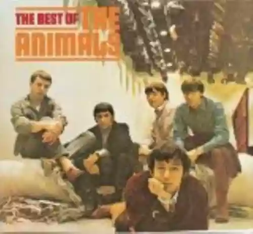 Cover The Animals - The Most of the Animals