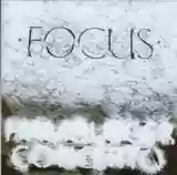 Focus: Hamburger Concerto