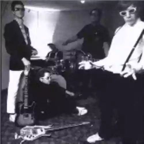 Cover The Hives - a.k.a. I-D-I-O-T