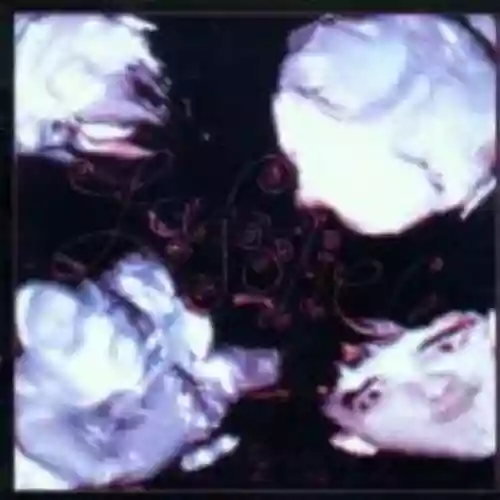 Cover The Stranglers - La Folie