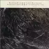 Harold Budd, Simon Raymonde, Robin Guthrie & Elizabeth Fraser: The Moon and the Melodies