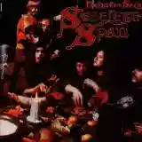 Steeleye Span: Below the Salt