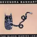 Devendra Banhart: The Black Babies