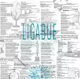 Ligabue: Ligabue