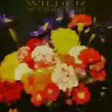 The Teardrop Explodes: Wilder