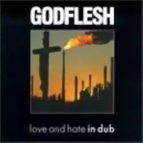 Cover di Love and Hate in Dub