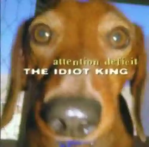 Cover di The Idiot King