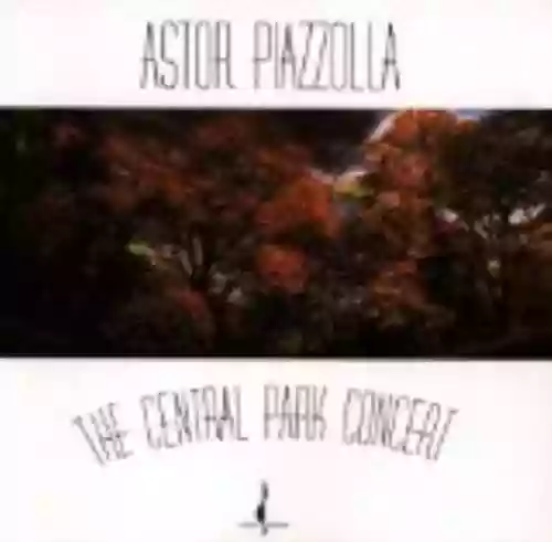 Cover di The Central Park Concert