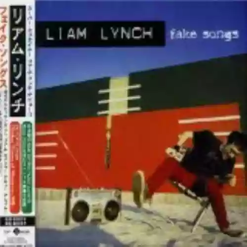Cover Liam Lynch - Fake Songs