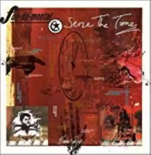 Cover di Seize the Time
