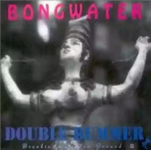 Cover di Double Bummer