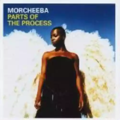 Cover di Parts of the Process