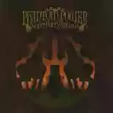 Super Furry Animals: Phantom Power