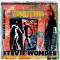 <b>Stevie Wonder</b> • Jungle Fever