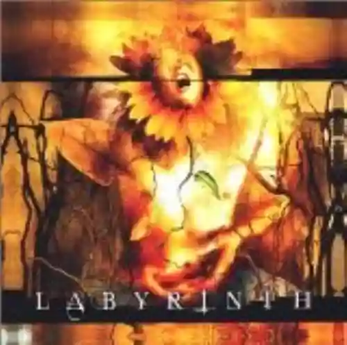 Cover di Labyrinth