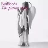 Buffseeds: The Picture Show