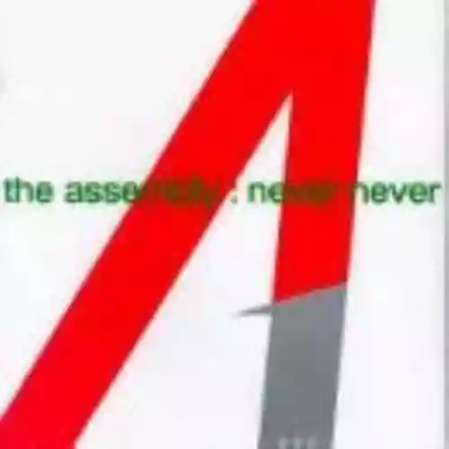 Cover The Assembly - Never Never