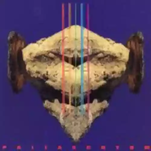 Cover di Pallaschtom
