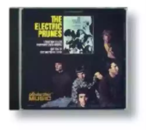 Cover The Electric Prunes - I Had Too Much to Dream (Last Night)