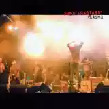 trey anastasio: plasma