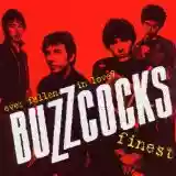 Buzzcocks: Ever Fallen in Love? Buzzcocks Finest
