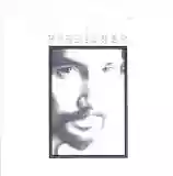 Cat Stevens: Foreigner