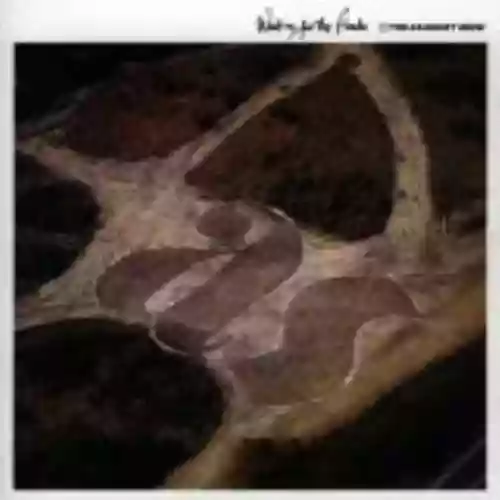 Cover The Armoury Show - Waiting for the Floods