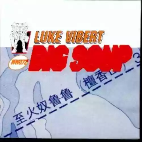 Cover Luke Vibert - Big Soup