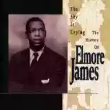 Elmore James: The Sky Is Crying - The History of Elmore James