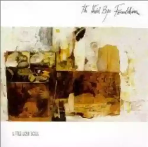 Cover The Third Eye Foundation - Little Lost Soul
